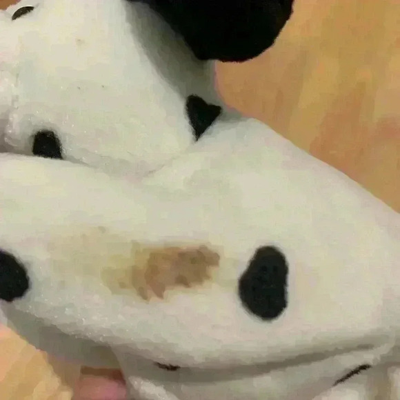 Dotty Beanie Baby - Picture 6 of 8